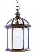  4183 BG - Wentworth 1-Light Atrium Style Outdoor Hanging Pendant